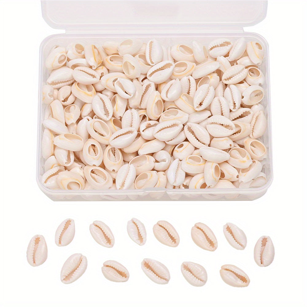 Natural Shell Beads Assortment