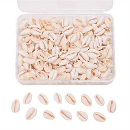 Natural Shell Beads Assortment