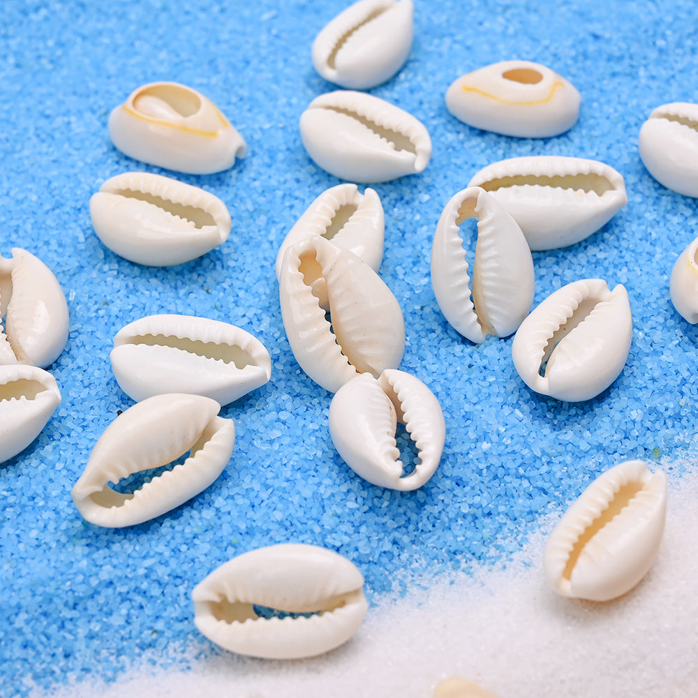 Natural Shell Beads Assortment