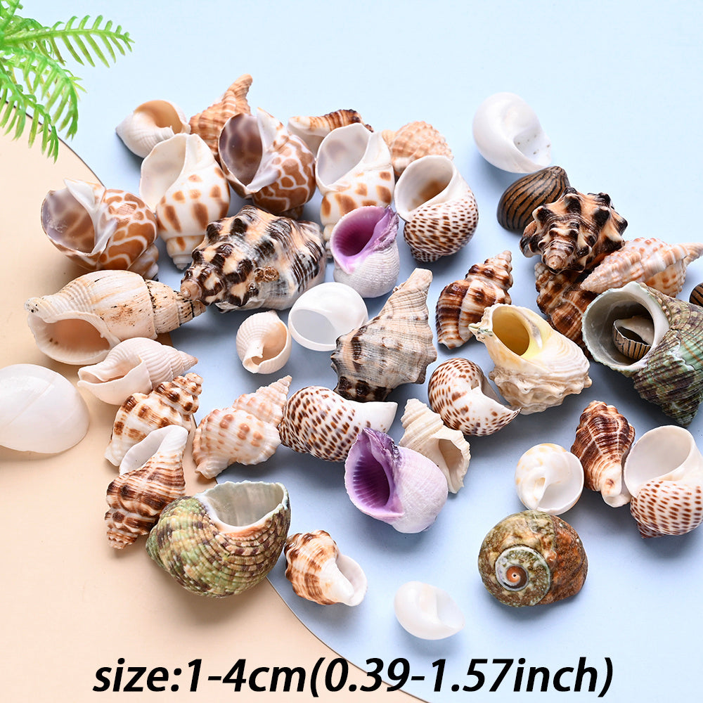 14x18mm Clear Butterfly Acrylic Sequins Spacer Beads