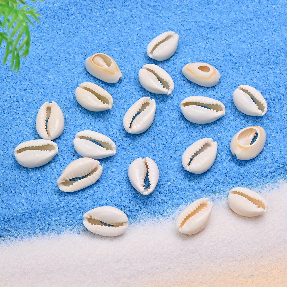 Natural Shell Beads Assortment