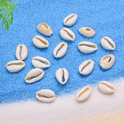 Natural Shell Beads Assortment