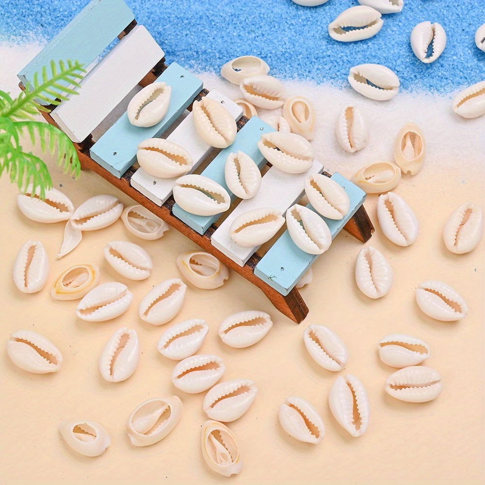 Natural Shell Beads Assortment