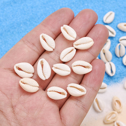 Natural Shell Beads Assortment