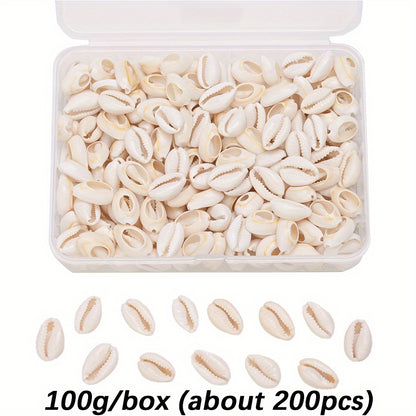 Natural Shell Beads Assortment