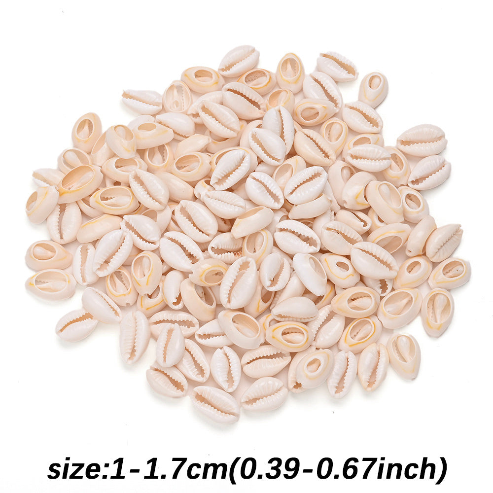 Natural Shell Beads Assortment
