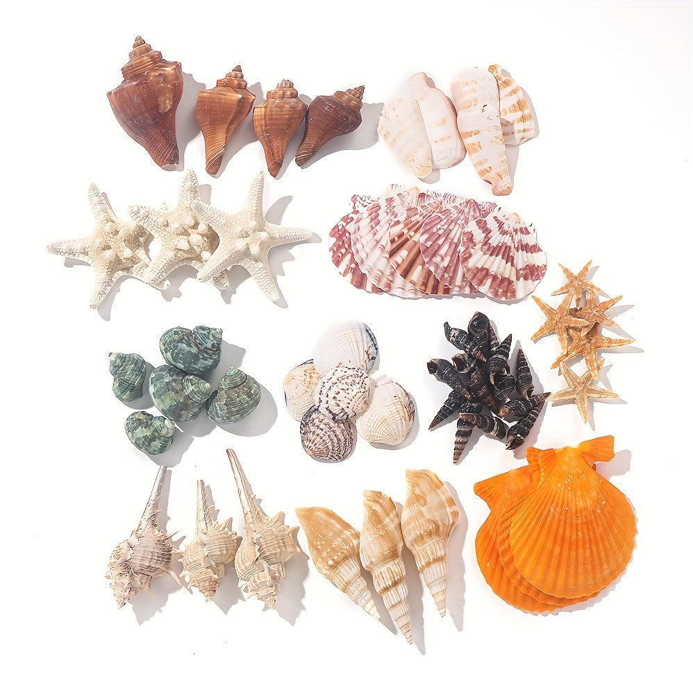 Natural Shell Beads, 390g / 13.75oz