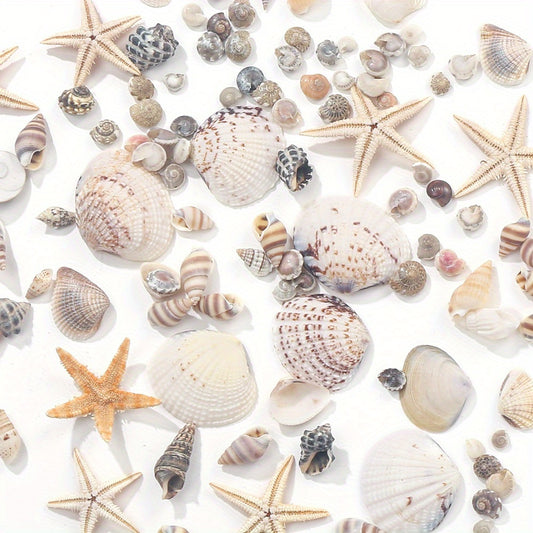 740/1000pcs Bohemian Style Beach Non-Porous Beads