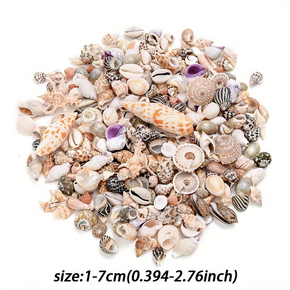 Natural Shell Beads Assortment