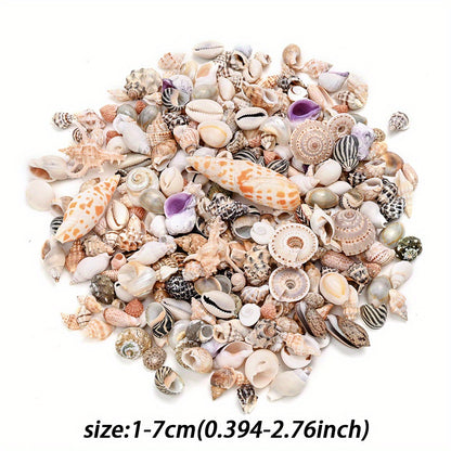 Natural Shell Beads Assortment
