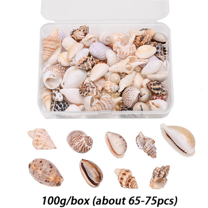 Natural Shell Beads Assortment